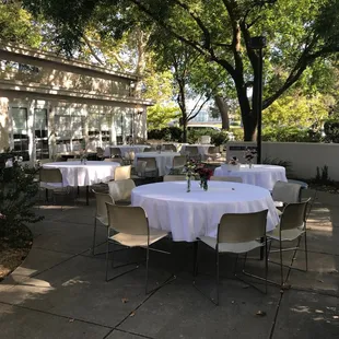 Mrak Terrace - Reception