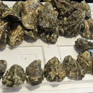 All I counted the oysters . They cheated 2 DZ Oysters . They charged medium price !