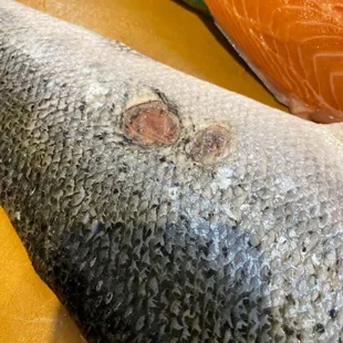 Atlantic salmon .. Please see this terrible poor quality.it's damaged salmon but they told me it's normal . No credit no exchange .