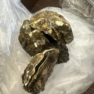 Oyster arrived.. already dead ... the shell is already open ..  it's dead oyster they send to customers