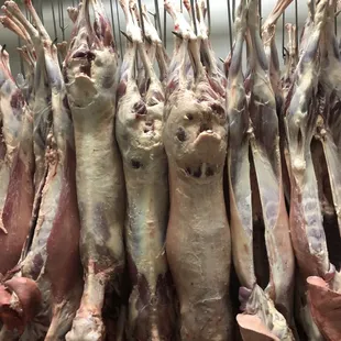 a bunch of meat hanging from a rack