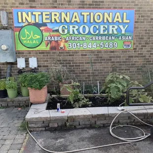 International food from African to middle eastern to Asian.  Quality food and great prices