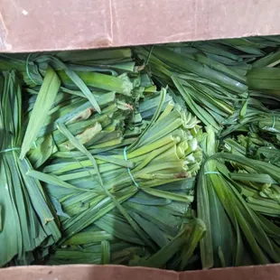 ramen and noodles, interior