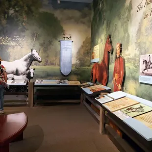 Arabian Horse Display at International Museum of the Horse