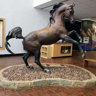 In Lobby at International Museum of the Horse