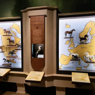 Arabian Horse Display at International Museum of the Horse