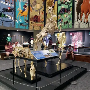 At International Museum of the Horse
