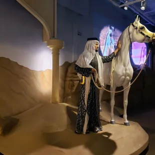 Arabian Horse Display at International Museum of the Horse