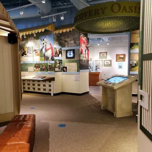 Arabian Horse Display at International Museum of the Horse