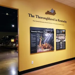 At International Museum of the Horse