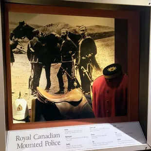 At International Museum of the Horse