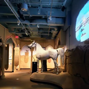 At International Museum of the Horse