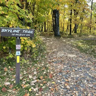 Starting point of the 7-mile journey