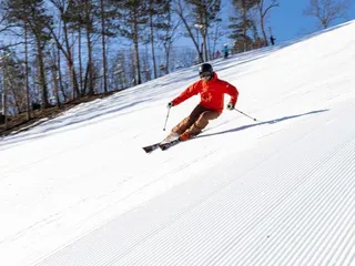 Wild Mountain