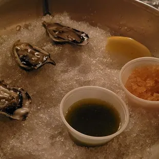 Oysters