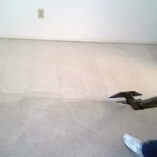 Thorough carpet cleaning