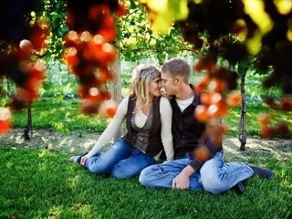 Hinterland Vineyards