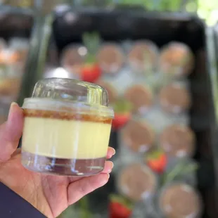 Creme brûlée