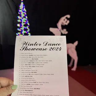 Love Christmas showcases‍