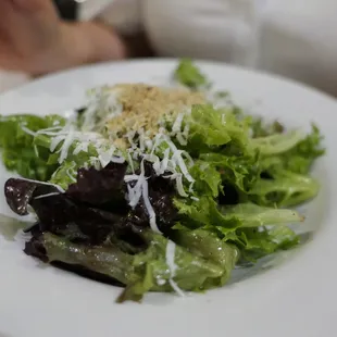 Gem Salad
