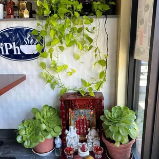 Oh!! This is a real natural plant!