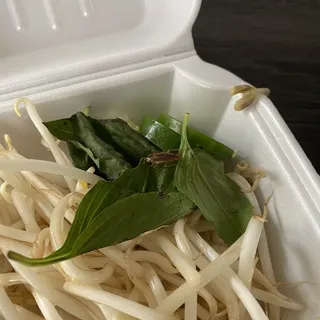 IPHO Noodle Soup