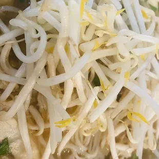 Chicken Pho is excellent, yummy, and lots of chicken