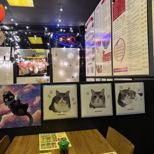Cats &amp; menu