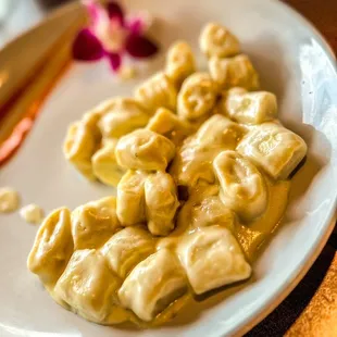 Gnocchi Gorgonzola