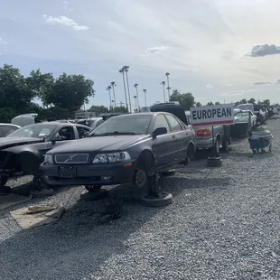 Europe section  My fav