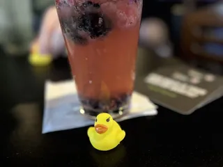 The Rubber Duck