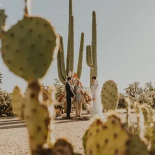 A wedding in the beautiful  Tucson desert.