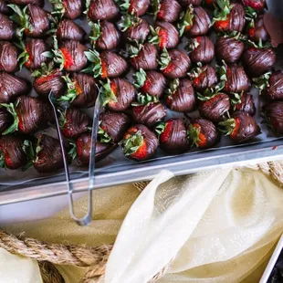 Photo Credit: Sharapova Photography, lidiasharapova.com