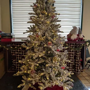 Tree. Holidays. Nice.