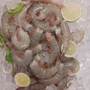 #SHRIMP