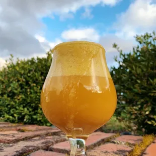 Pineapple Fruit Whip Sour