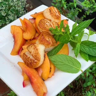 Seared Scallops over a Nectarine Salad topped with Mint