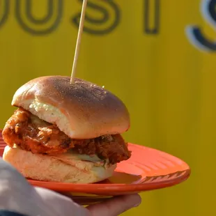 a person holding a plate with a sandwich on it