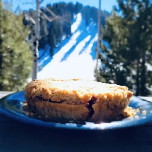 Mountain Berry crumble pie