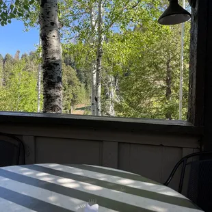 a view of a wooded area through a window