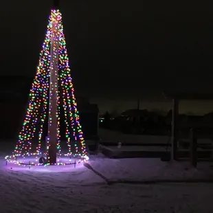 Tree Lighting 2017