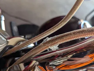 Saguaro Harley-Davidson