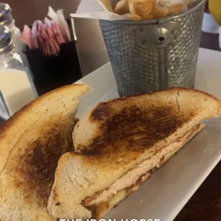 a grilled sandwich and fries