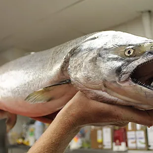 Featuring a rotating selection of the freshest fish in Southern Iowa.