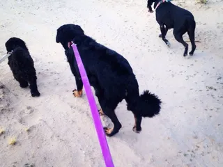 Santa Cruz River Walk Path