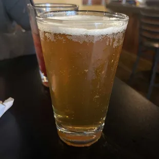 Wild and Wonderful Strawberry Ale