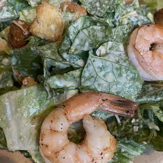 5 Shrimp