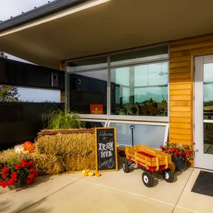 Photograph taken by John Huan Vu of San Jose on November 5, 2021. For personal use only unless explicit permission from the owner.