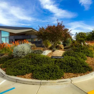 Photograph taken by John Huan Vu of San Jose on November 5, 2021. For personal use only unless explicit permission from the owner.