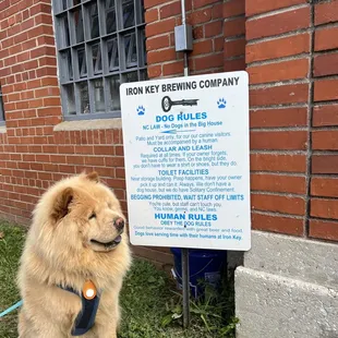 Butters can't even the read these rules